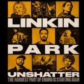 Unshatter (Live in São Paulo) (Placeholder Cover) (Unshatter Soundtrack)