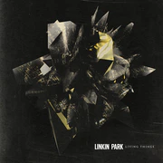 Vinyl/Australian Tour Edition cover