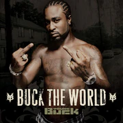 Alternative cover