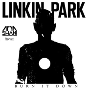 Artwork created by Arya Shani for his remix