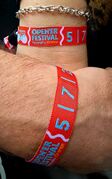 Wristband