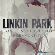 Lost In The Echo remix contest promo