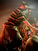 Mike in the crowd on "In The End"