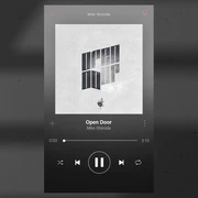Spotify screen[19]