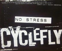 No Stress promo CD with Chester Bennington quote