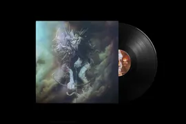 THP Vinyl