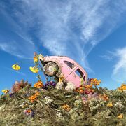 Album Cover (Non-PA)