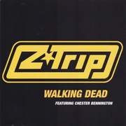 Promo CD. Scan by StaticXero.