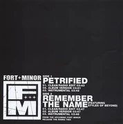 Vinyl single