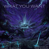 Daniel Sherman What You Want